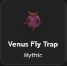Venus Fly Trap