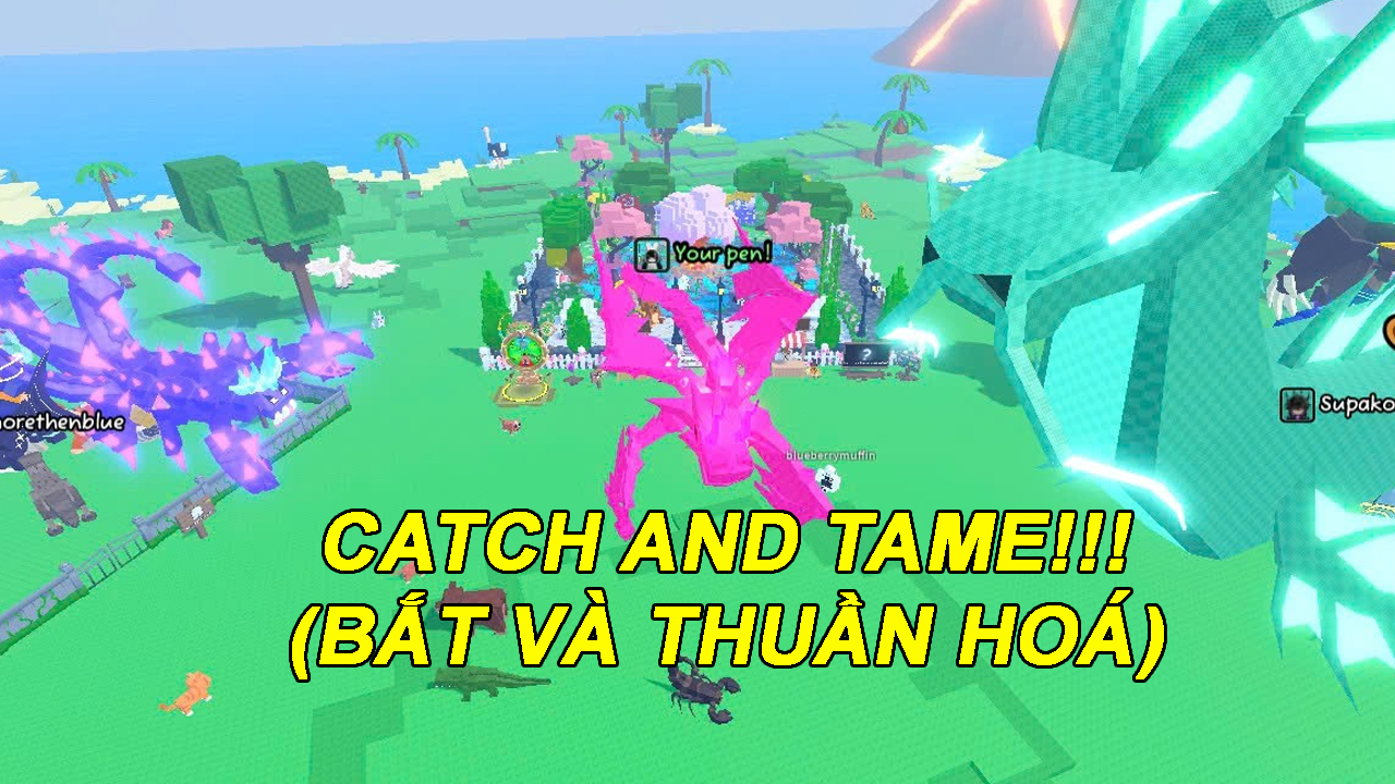 2. Catch And Tame Value List